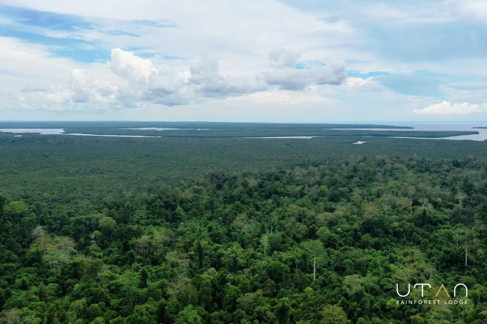 Rainforest-1279