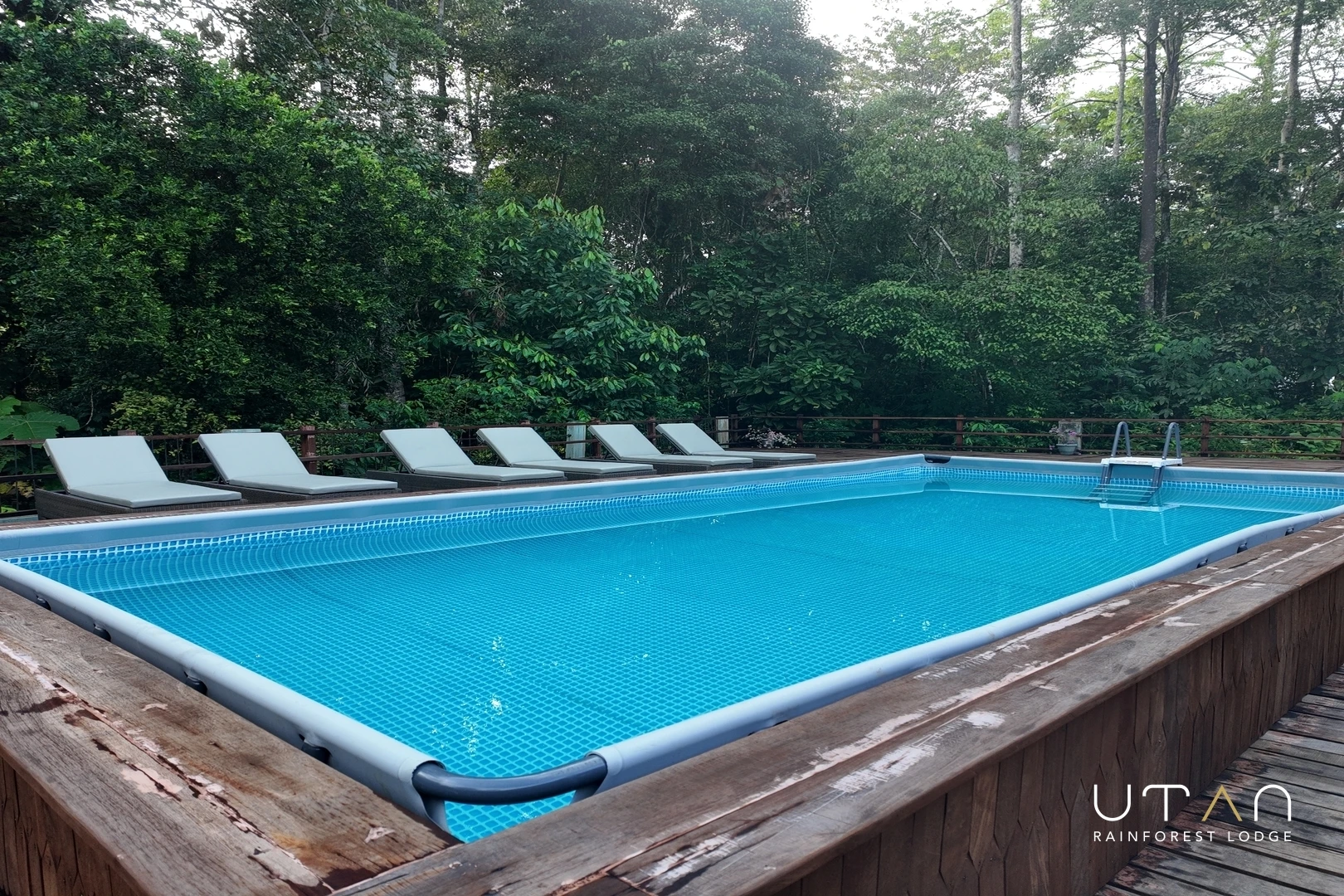 Dip Pool-1438