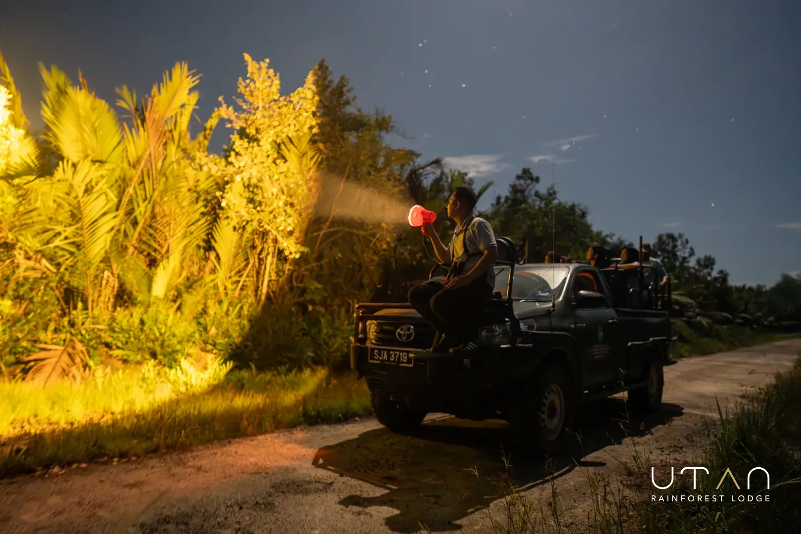 Night Safari-1461