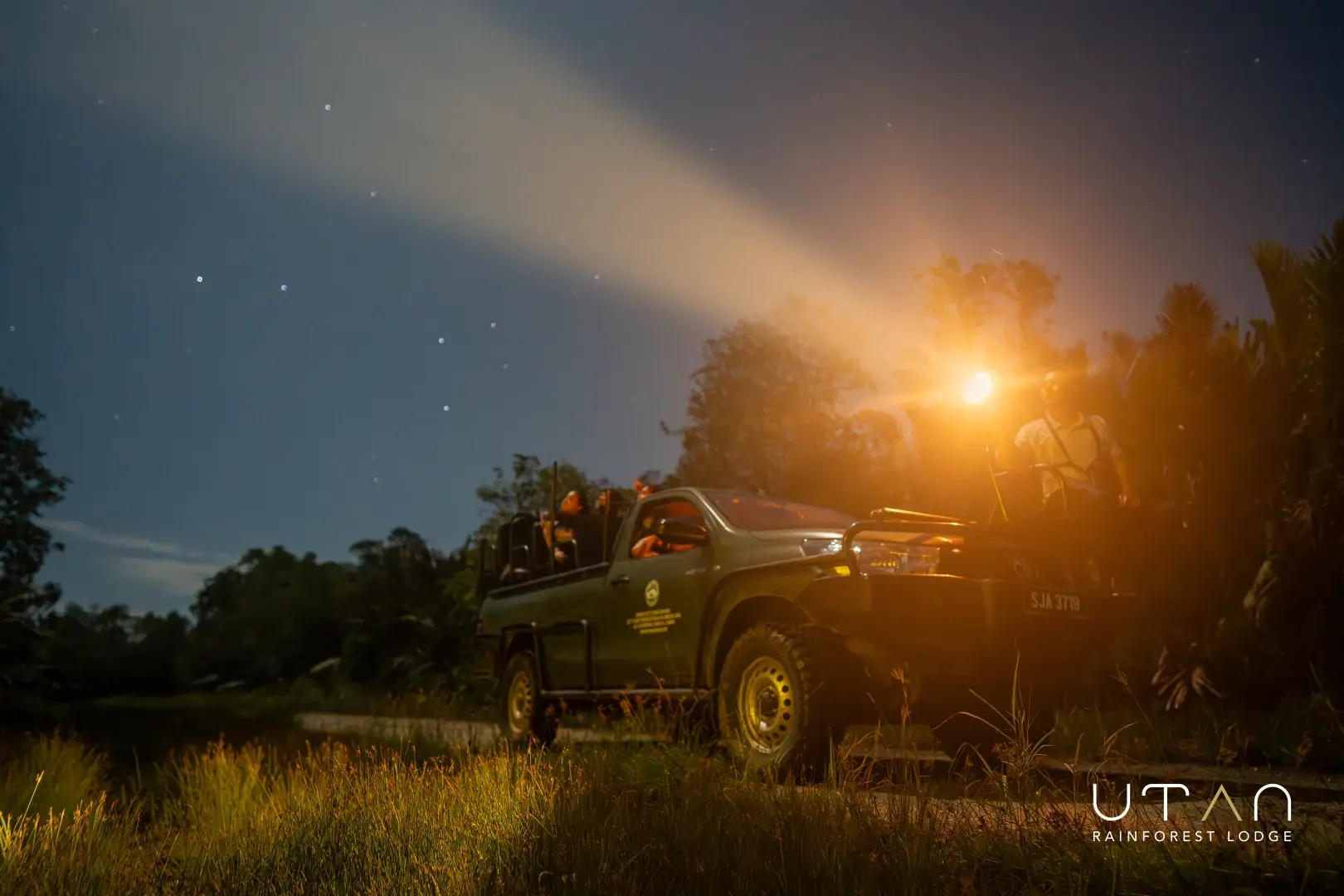 Night Safari-1460