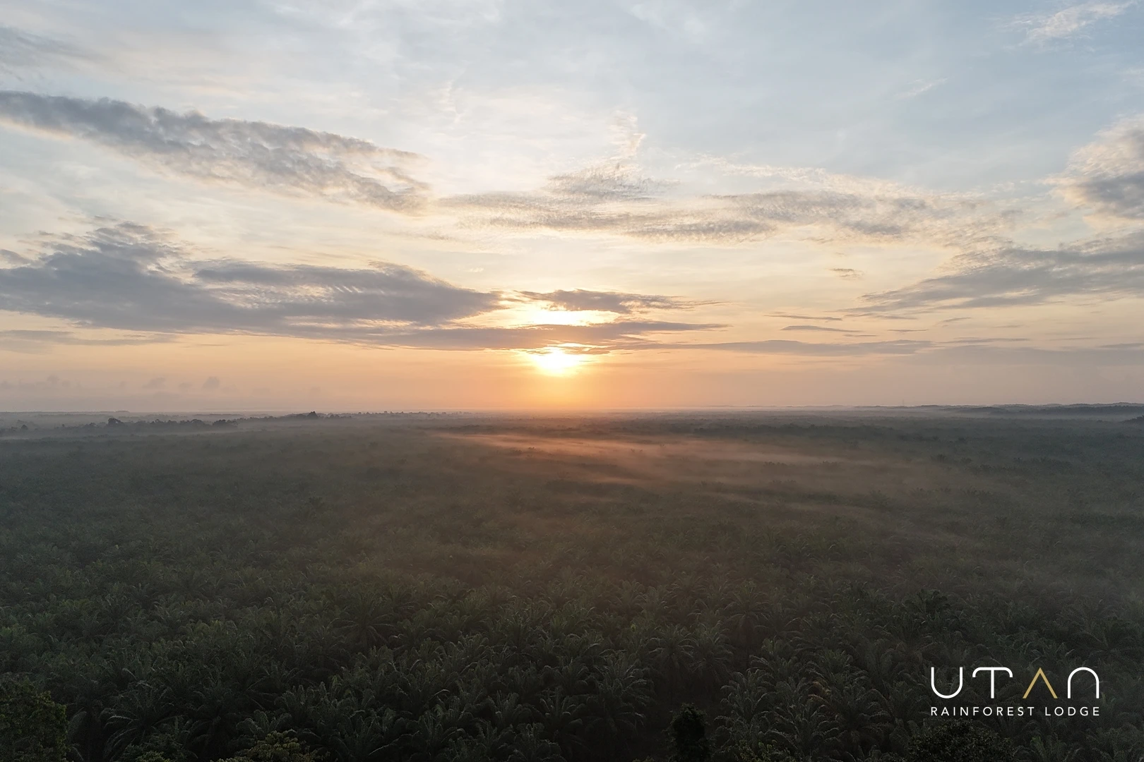 Rainforest Sky-1452