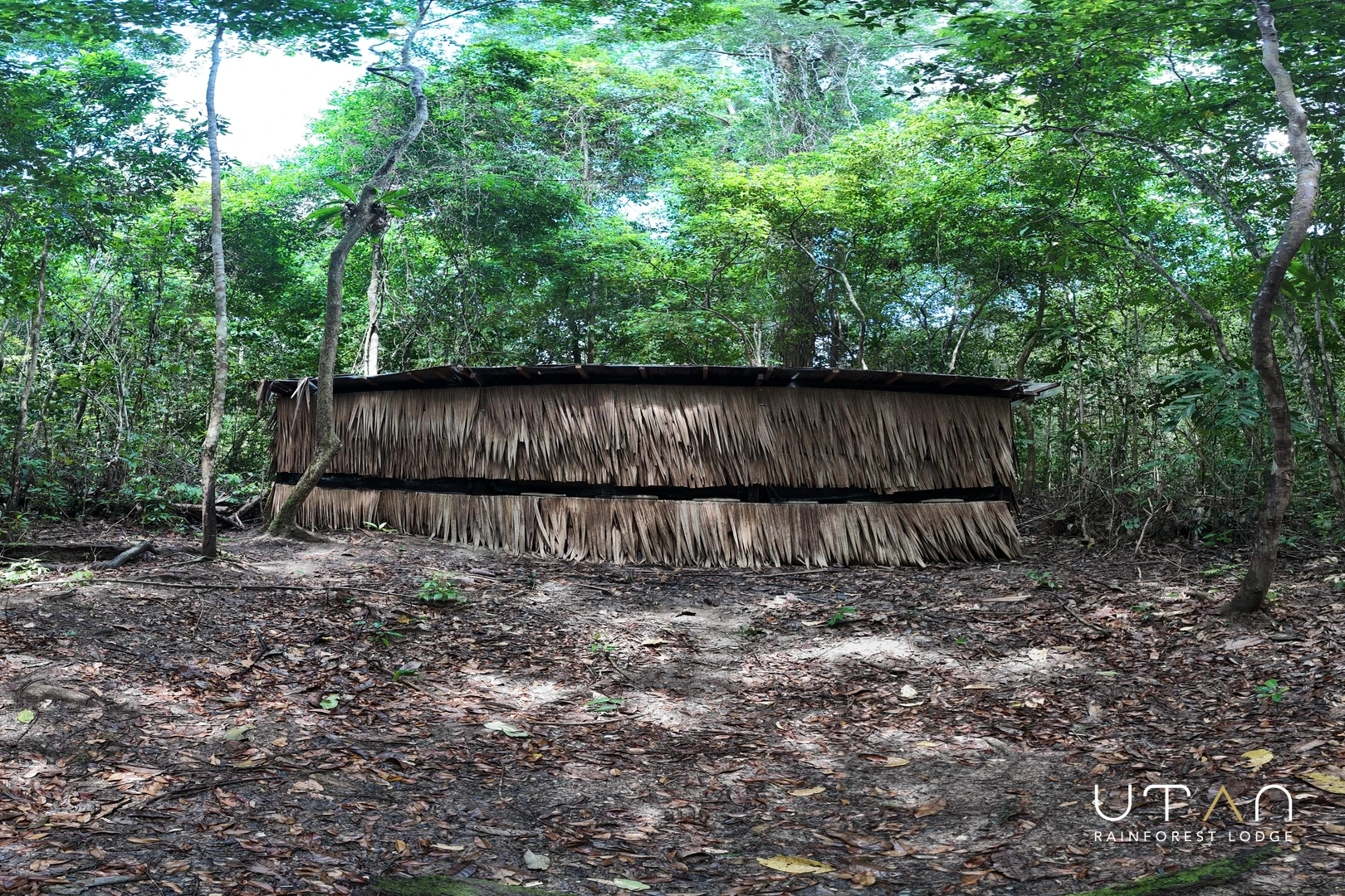 Bird Hide-1459
