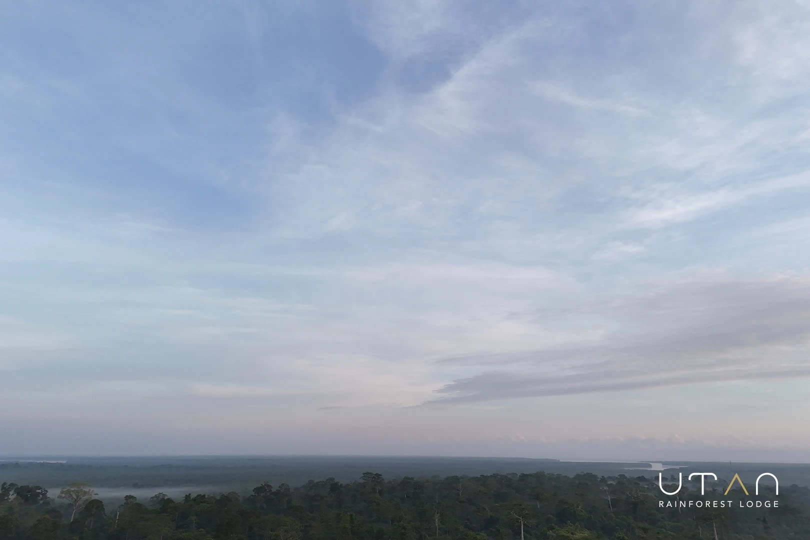 Rainforest Sky-1451