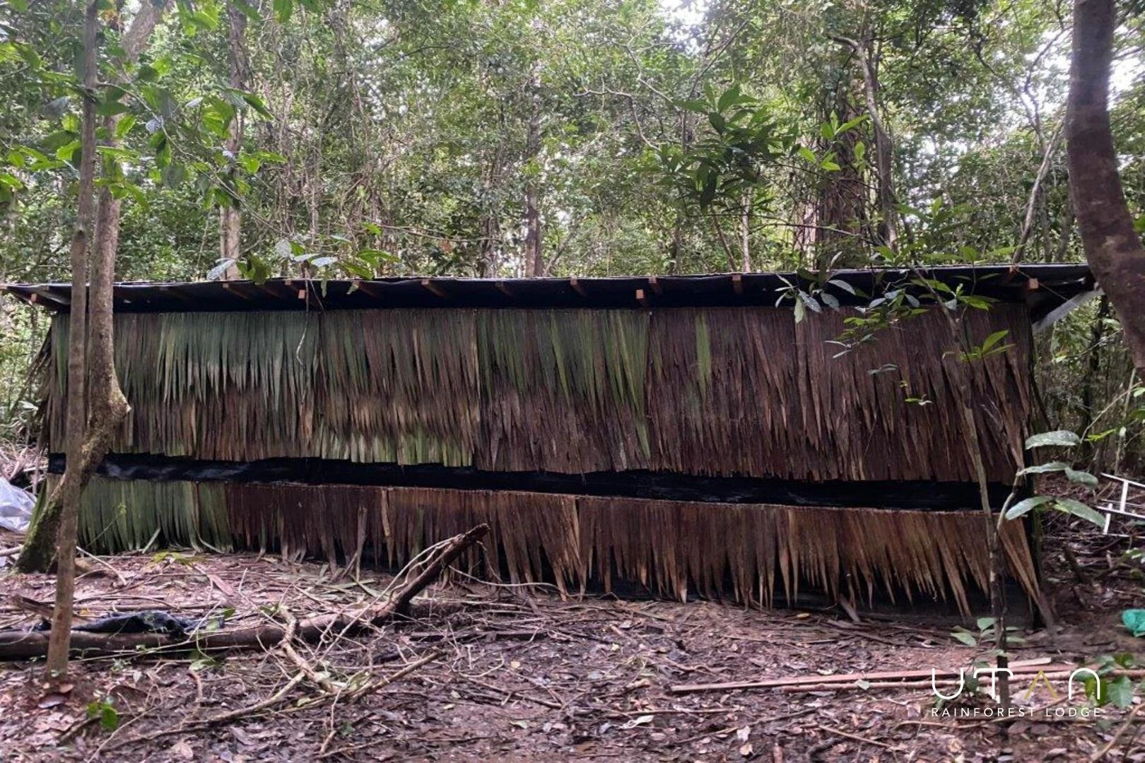 Bird Hide-1453