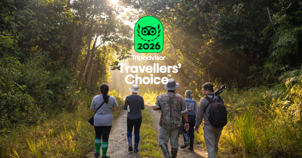 Utan Rainforest Lodge Tripadvisor Travellers’ Choice Award 2026