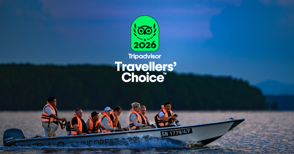 Utan Rainforest Lodge Tripadvisor Travellers’ Choice Award 2026